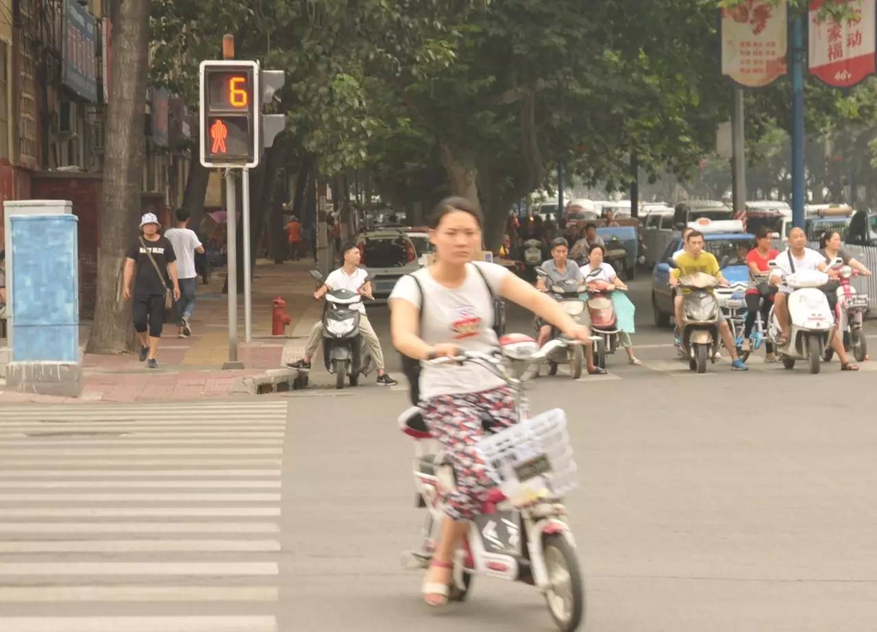 焦作不文明交通,不文明交通行为曝光直播