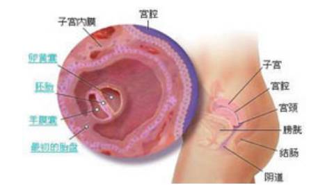 孕期旅行日记孕34周,孕期旅行记录