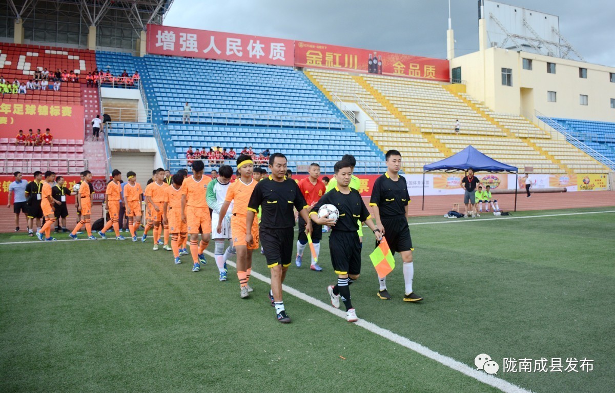 2017年陇南市“红川酒业杯”青少年足球竞标赛开幕李祥出席并宣布开幕