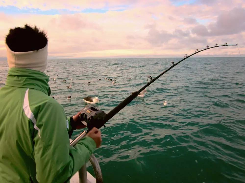 冬季海钓沉底钓鱼技巧,学校钓鱼技巧视频教程
