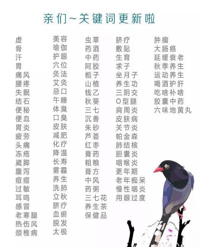 降压养肾养生茶,降压去火养生茶