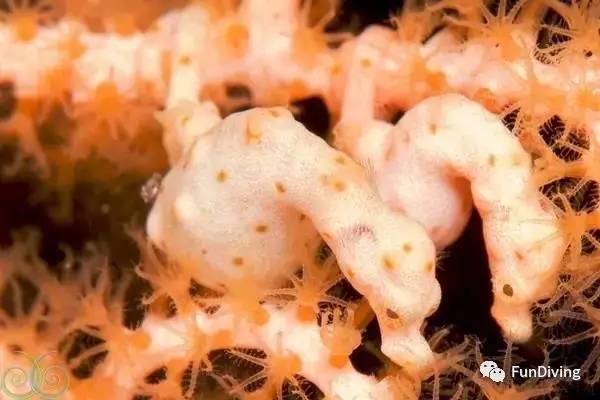 船宿推荐及价格,船宿推荐