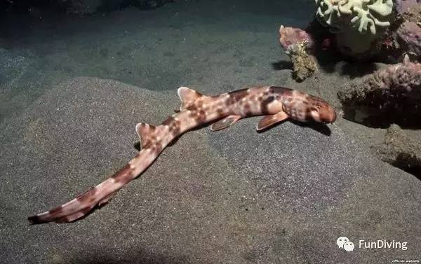 船宿推荐及价格,船宿推荐