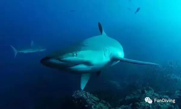 船宿推荐及价格,船宿推荐