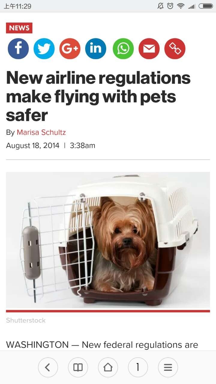 “愿天堂没有美联航”：有望破纪录的巨兔乘机时神秘死亡