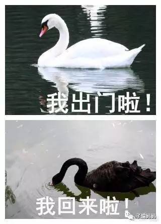 冬天如何做淡奶油吐司,最简单的淡奶油吐司