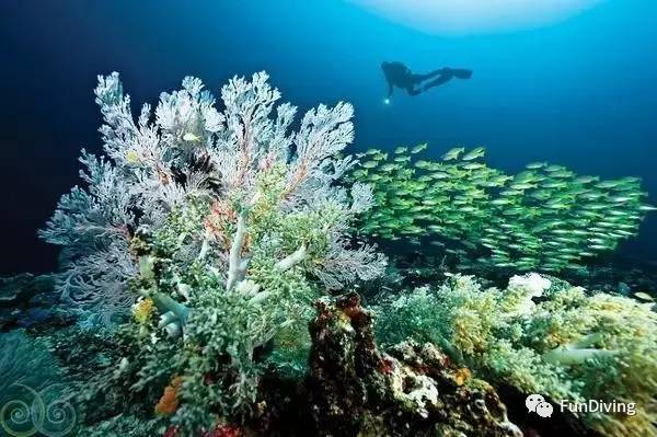 船宿推荐及价格,船宿推荐