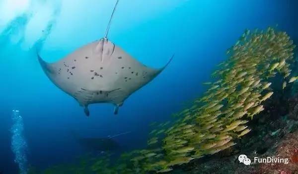 船宿推荐及价格,船宿推荐