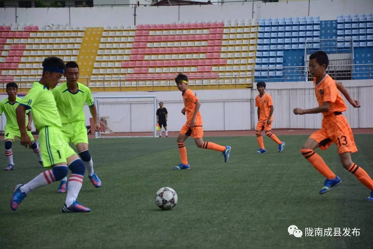 2017年陇南市“红川酒业杯”青少年足球竞标赛开幕李祥出席并宣布开幕