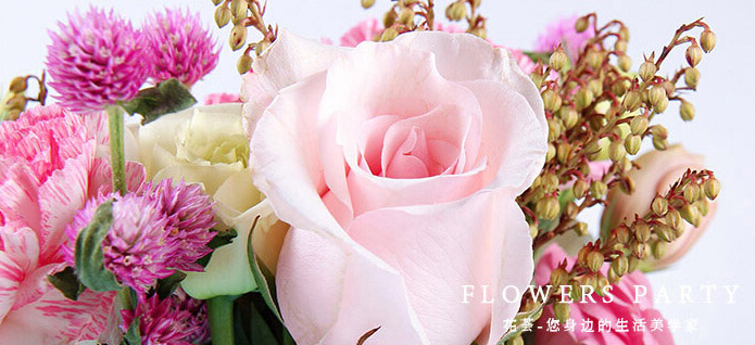 成都好看便宜花店,成都有哪些好的花店