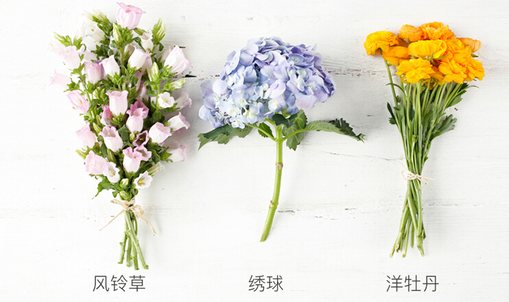 成都好看便宜花店,成都有哪些好的花店