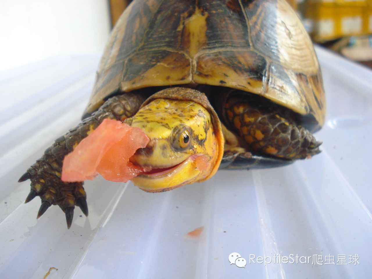 流水账解说dota,流水账跟台账优缺点