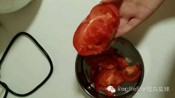 流水账解说dota,流水账跟台账优缺点