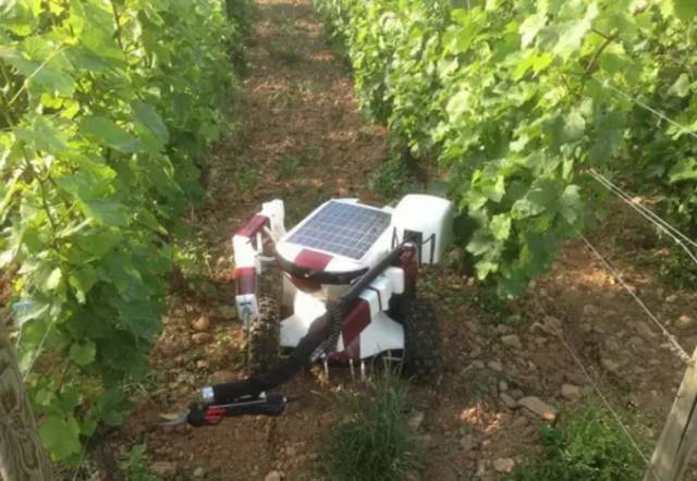 alphago赢李世石,谷歌围棋alphago