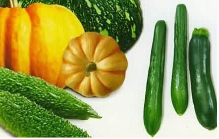 湿热体质可以吃什么调节免疫力,对抗病毒提升免疫力非常重要