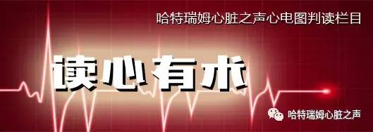 读心有术十二句话,读心有术2004