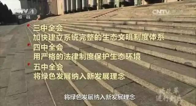 检察机关全力守护绿水青山,守护绿水青山检察官