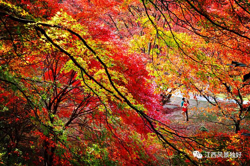 走遍江西一百县,走遍江西
