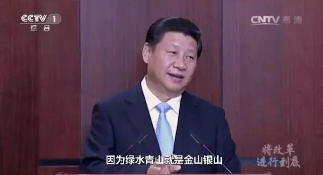 检察机关全力守护绿水青山,守护绿水青山检察官