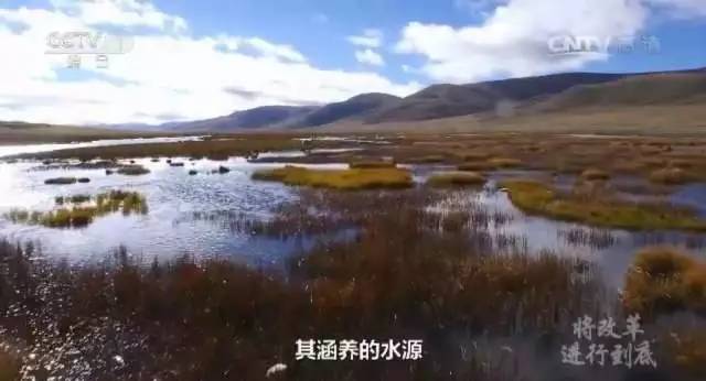 检察机关全力守护绿水青山,守护绿水青山检察官