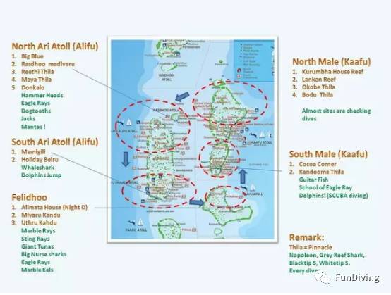 船宿推荐及价格,船宿推荐