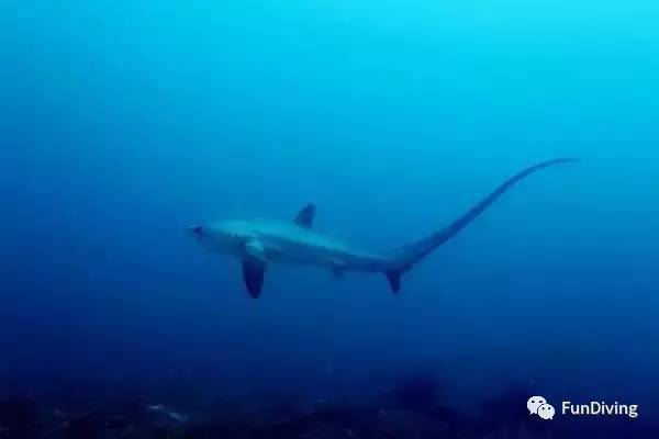 船宿推荐及价格,船宿推荐