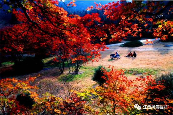 走遍江西一百县,走遍江西