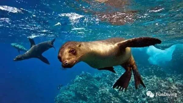 船宿推荐及价格,船宿推荐