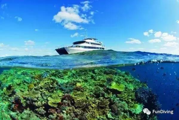 船宿推荐及价格,船宿推荐