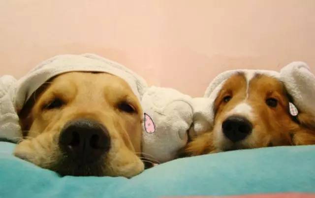 战痘｜史上最全”战痘“解答50+合集！