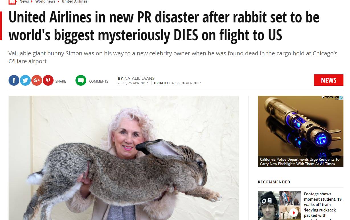 “愿天堂没有美联航”：有望破纪录的巨兔乘机时神秘死亡