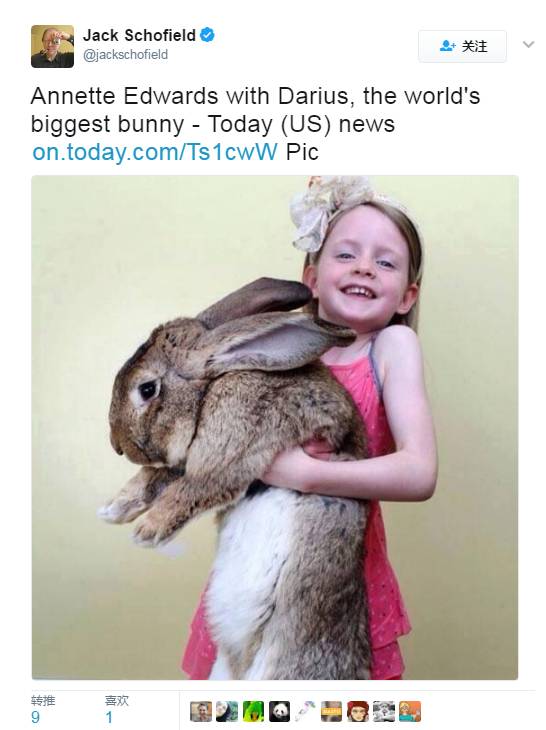 “愿天堂没有美联航”：有望破纪录的巨兔乘机时神秘死亡