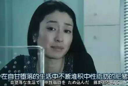 不悔梦归处只恨太匆匆翻译,不悔梦归处只恨太匆匆的上一句