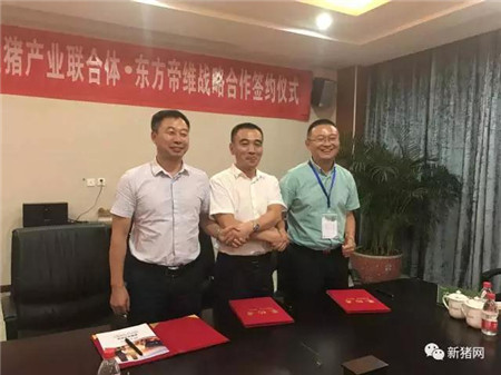 安徽生猪产业联合体“疫苗定制”助推供需转型升级——安徽生猪产业联合体与东方帝维签订疫苗定制战略合作协议