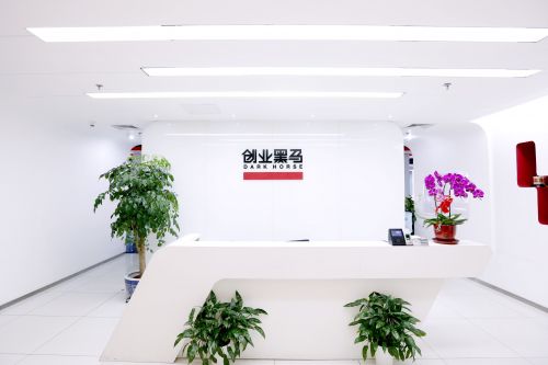 创业黑马借壳,创业黑马上市了吗