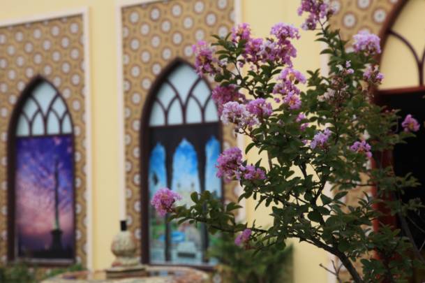 妞嶇墿鐧剧鑺搁,妞嶇墿鐧剧鏈ㄦè