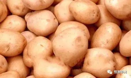 华州四张名片,华州区四张名片