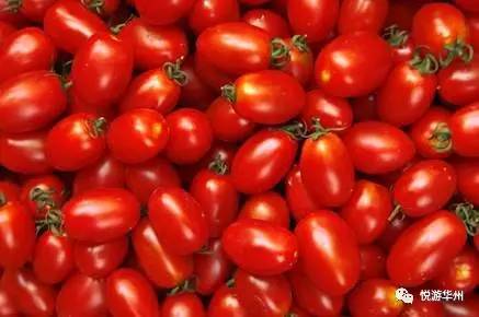 华州四张名片,华州区四张名片