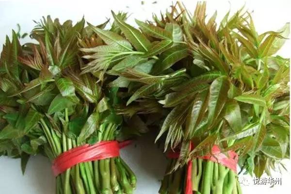 华州四张名片,华州区四张名片