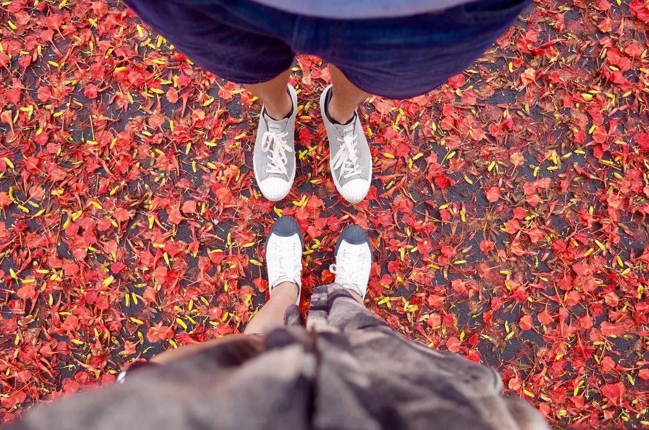台湾到高雄的高铁体验,从台北到簋街