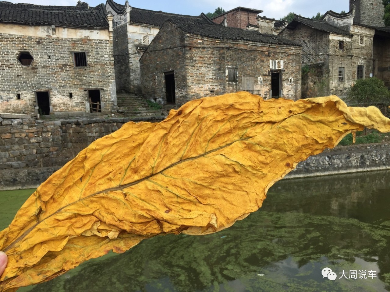 厉害了连续11年的宝马文化之旅为了一场传承的修行｜大周说车