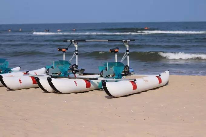 秦皇岛带狗冬天去哪里玩,北戴河三天两晚民宿可带狗