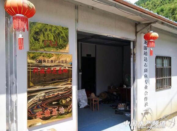 从颗粒无收到年赚百万，一位“农民赛车手”到石斑鱼“老大”的养殖之路