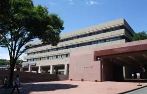 鐣欏鏃ユ湰,鏃ユ湰娉曟斂澶у