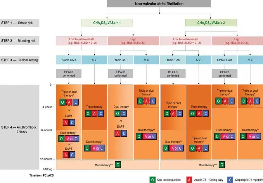 冠心病合并房颤的抗栓指南,房颤合并冠脉支架的抗栓治疗指南