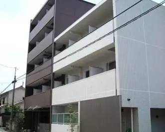 鐣欏鏃ユ湰,鏃ユ湰娉曟斂澶у