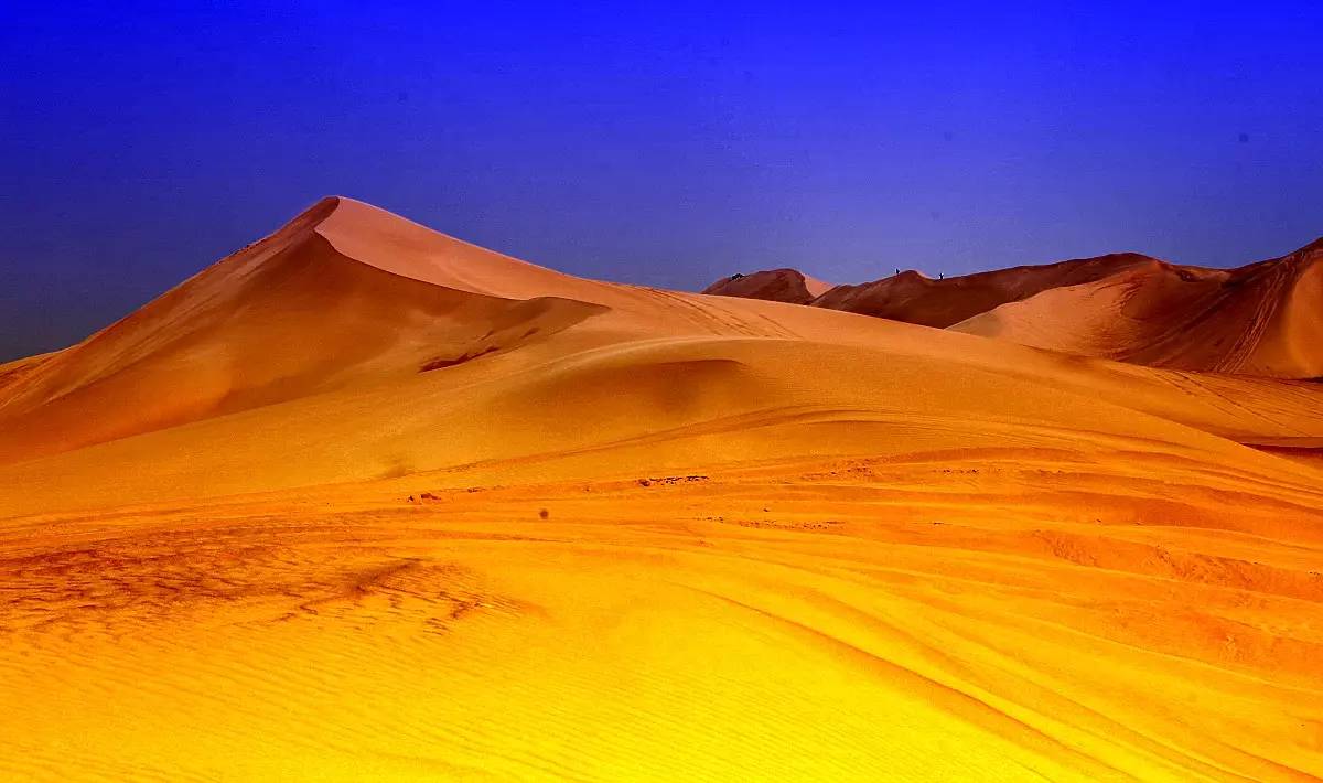 秦皇岛带狗冬天去哪里玩,北戴河三天两晚民宿可带狗