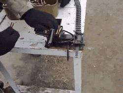 你家猫被人抓去画本子了！