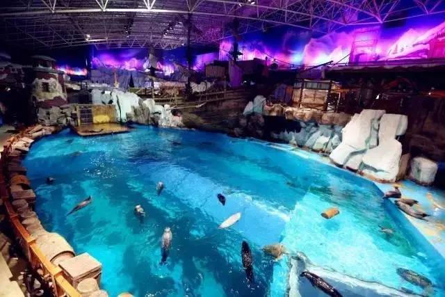 极地海洋世界青岛年卡免费199,极地海洋世界年卡五一