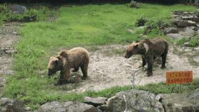 雅戈尔动物园门票免费几天,国庆节雅戈尔动物园免门票吗